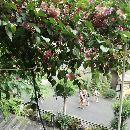 Riomaggiore Appartamenti Appartamento *